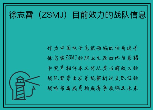 徐志雷（ZSMJ）目前效力的战队信息