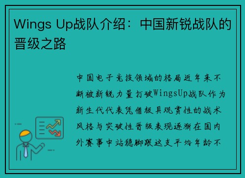 Wings Up战队介绍：中国新锐战队的晋级之路